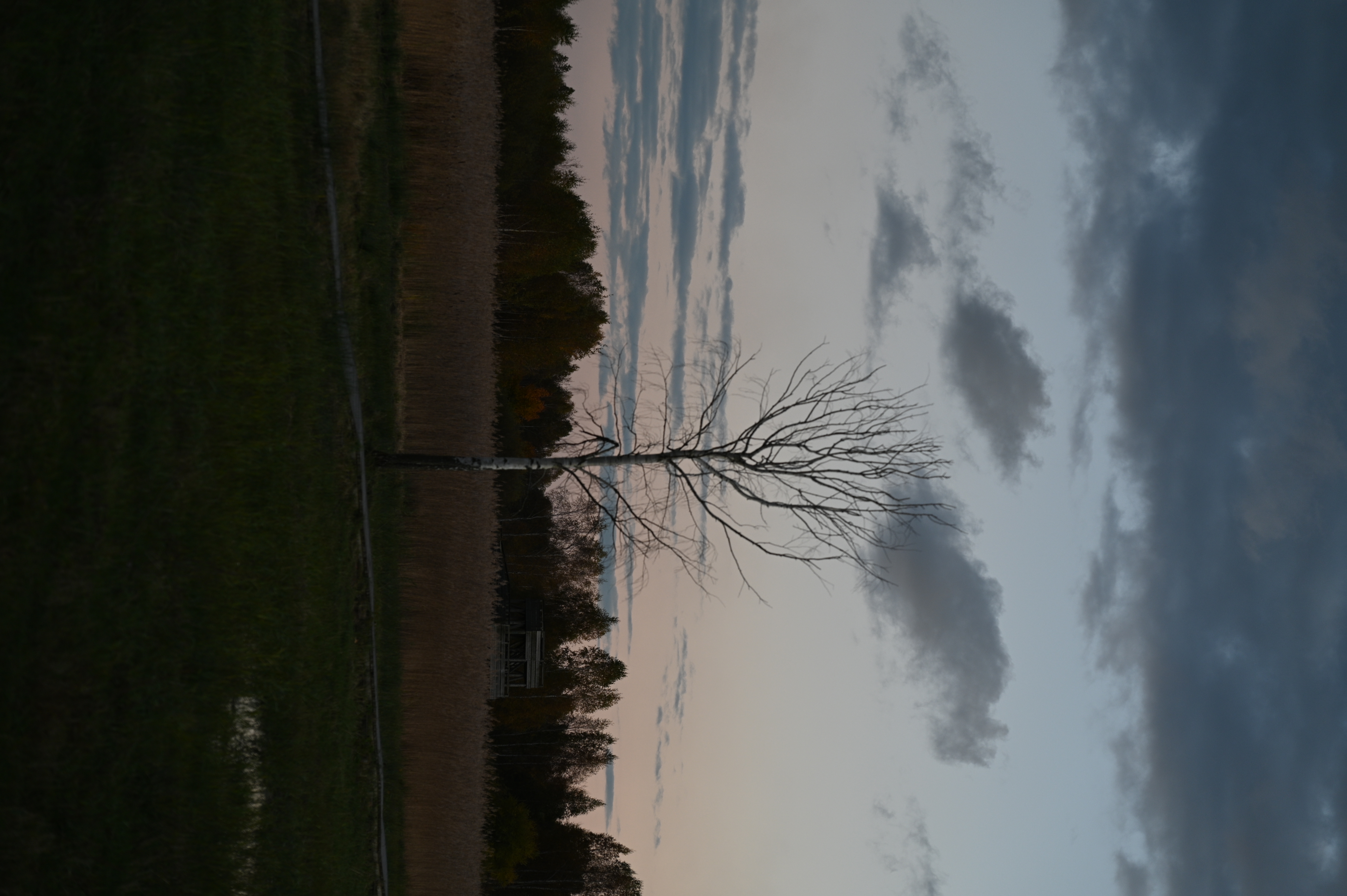 2025/10/18 - walk/DSC_0567.JPG